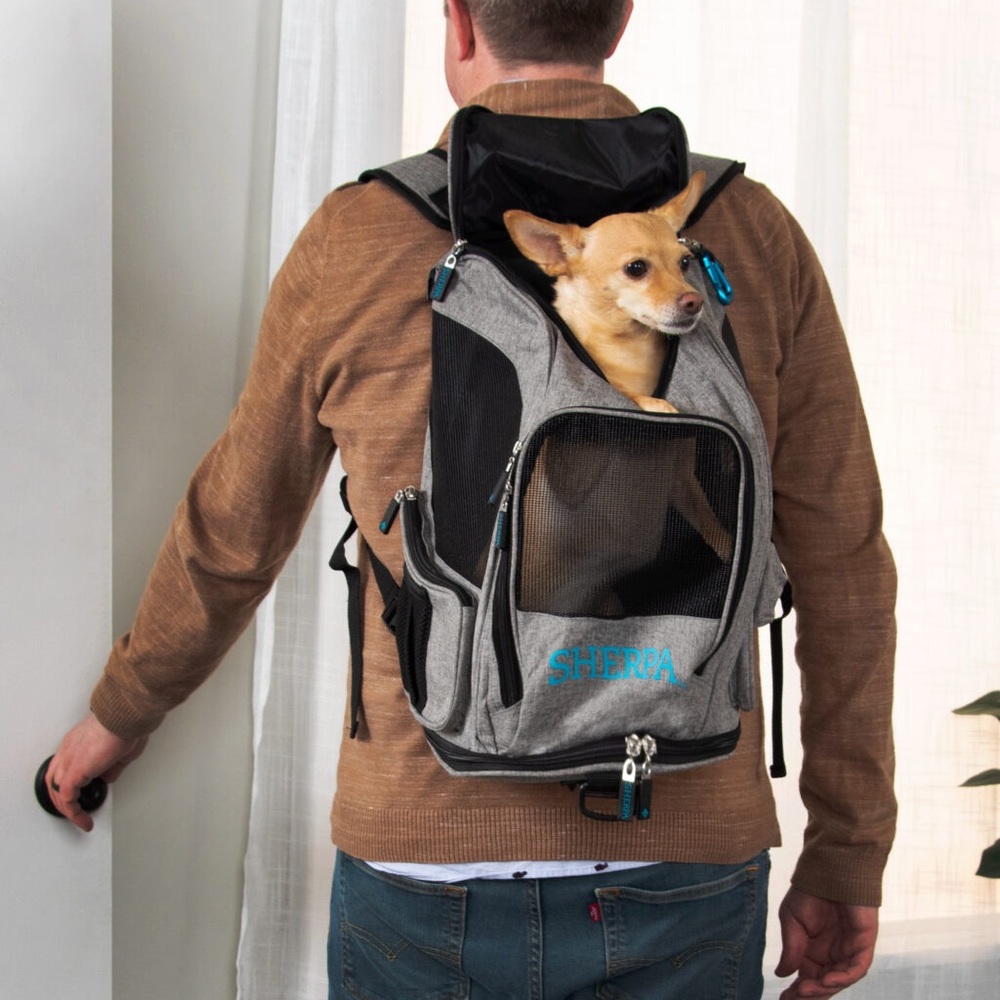 Lightly used dog backpack